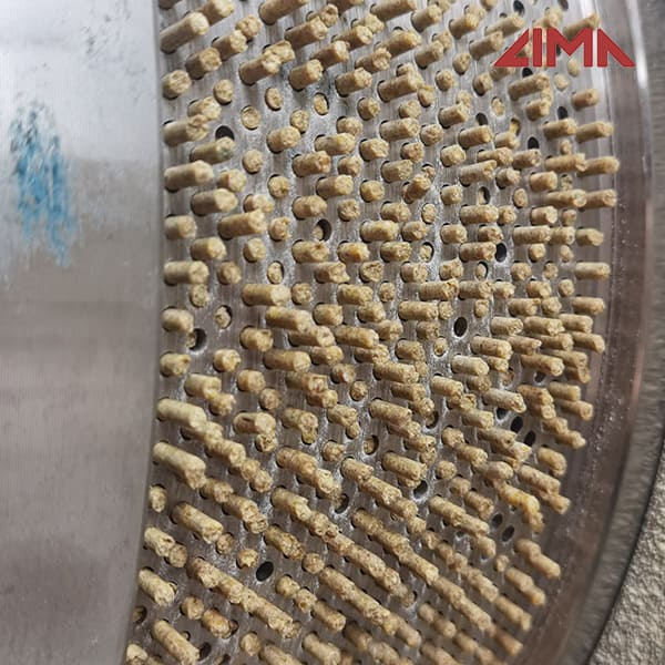 100kg/h shrimp feed machinery Feed size 7 mm pakistan